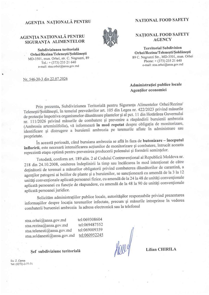 informație repetata ambrozia